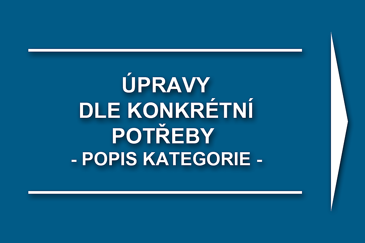 Úpravy dle konkrétní potřeby - popis kategorie